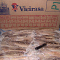BQF de alta calidad Frozen Argentina Illex Squid Loligo